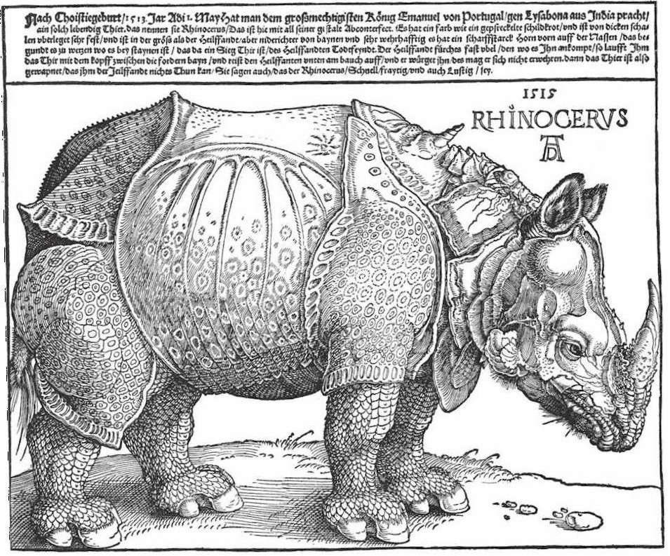 Dürer-rhino klein